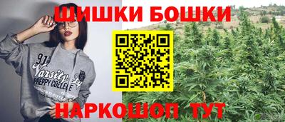 Альфа ПВП Обь