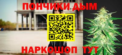 Альфа ПВП Обь