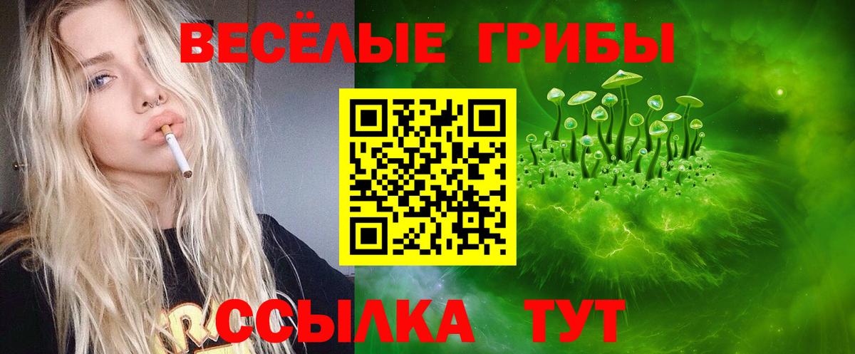 Новотроицк  Псилоцибиновые грибы Psilocybe  Галлюциногенные грибы GOLDEN TEACHER  Вход с VPN 